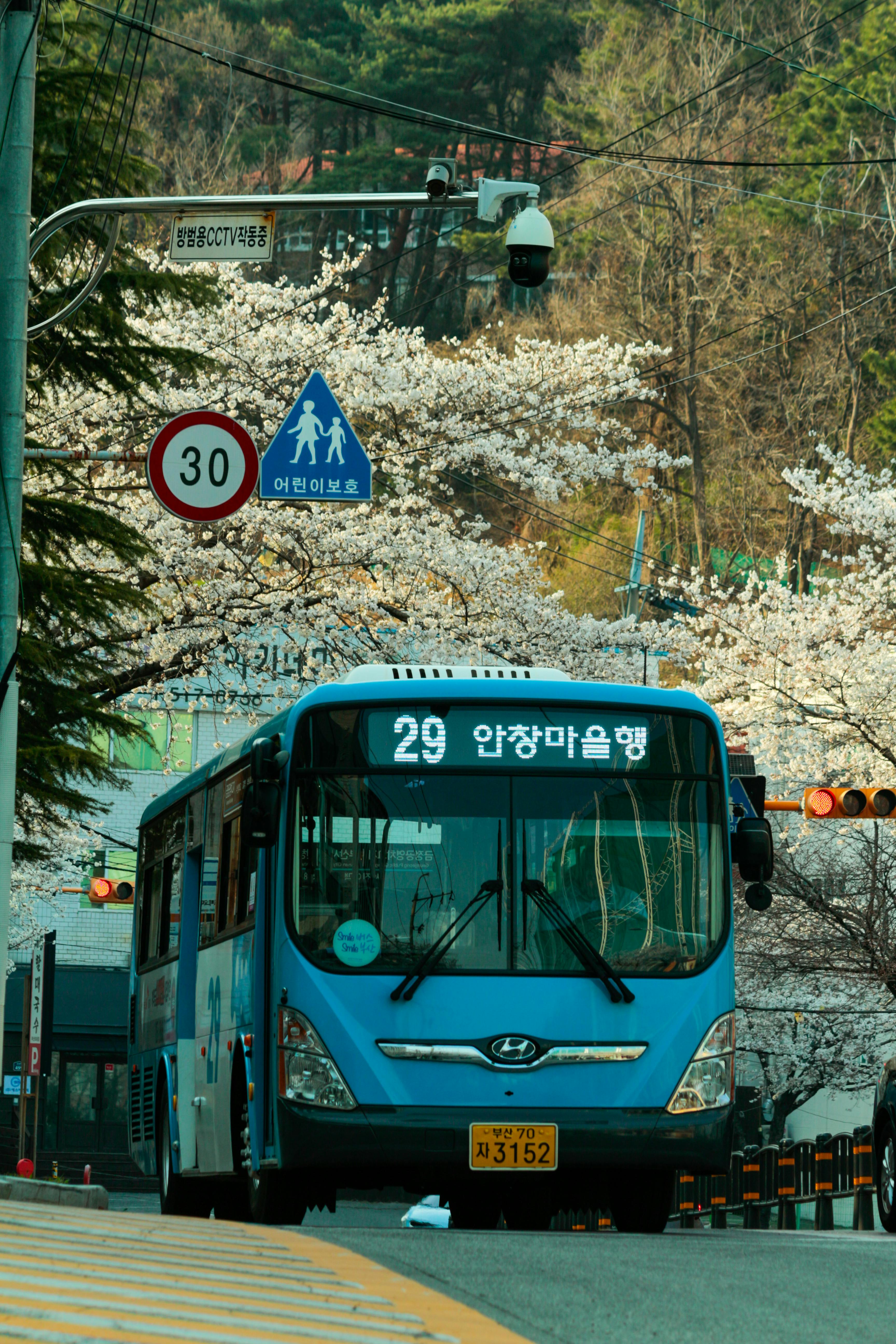 제주 동쪽 버스 여행 코스 추천 (함덕&middot;김녕&middot;월정리&middot;성산 버스로 가는 코스)