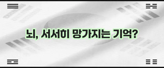 알츠하이머 초기증상과 원인 꼼꼼히 알아봅시다!