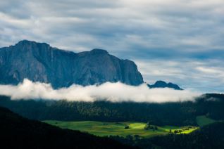 산불 재난지원금 신청하기