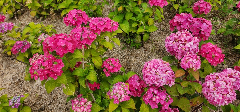 소촌아트팩토리