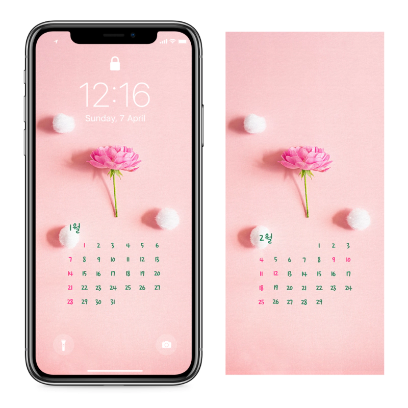 06 모란꽃 한송이 AB - 2024년1월 아이폰달력배경화면
