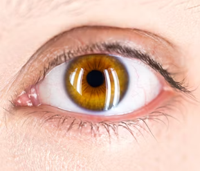 건조증 증상 피부 안구 코 구강 원인 치료법