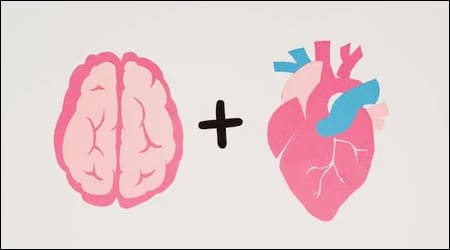 두뇌와 심장 일러스트