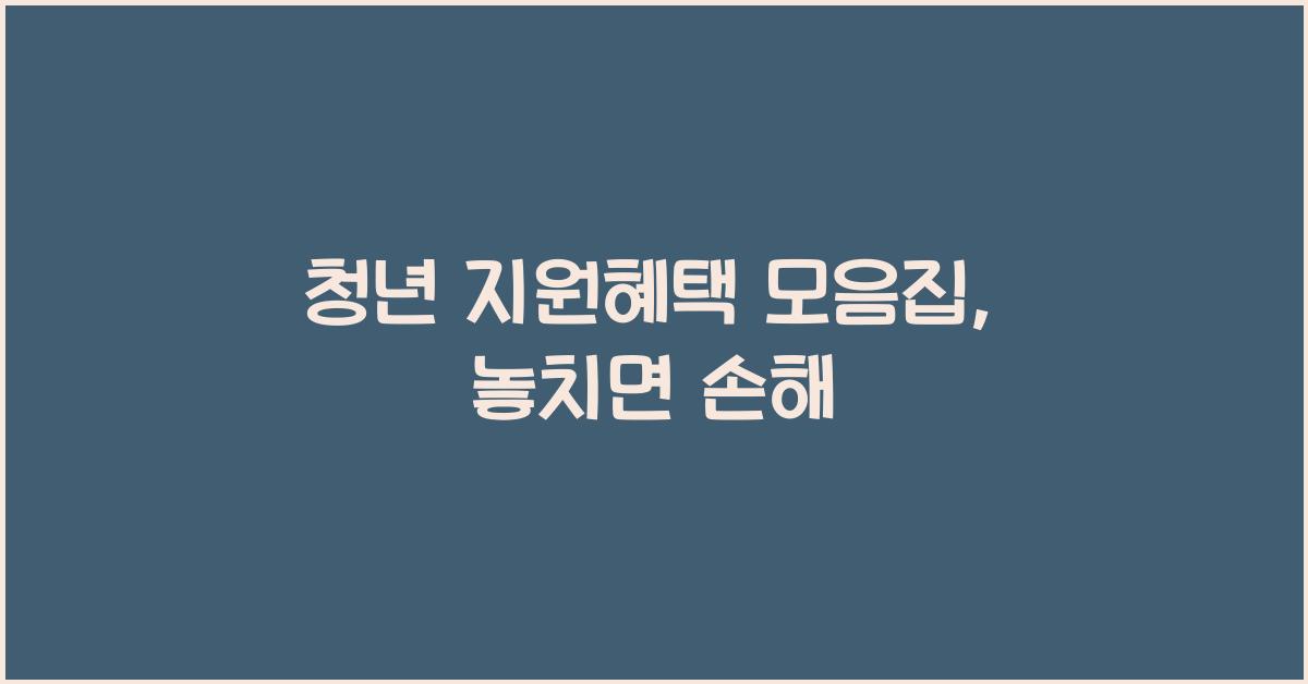 청년 지원혜택 모음집