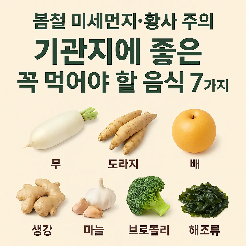 미세먼지와 황사에 대비해 기관지에 좋은 음식 7가지(무, 도라지, 배, 생강, 마늘, 브로콜리, 해조류)를 시각적으로 정리한 건강 정보 이미지
