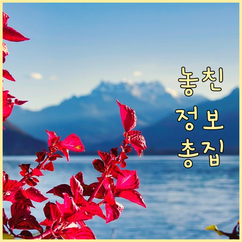 남양주 호평동, 올바른 쓰레기 배출로..