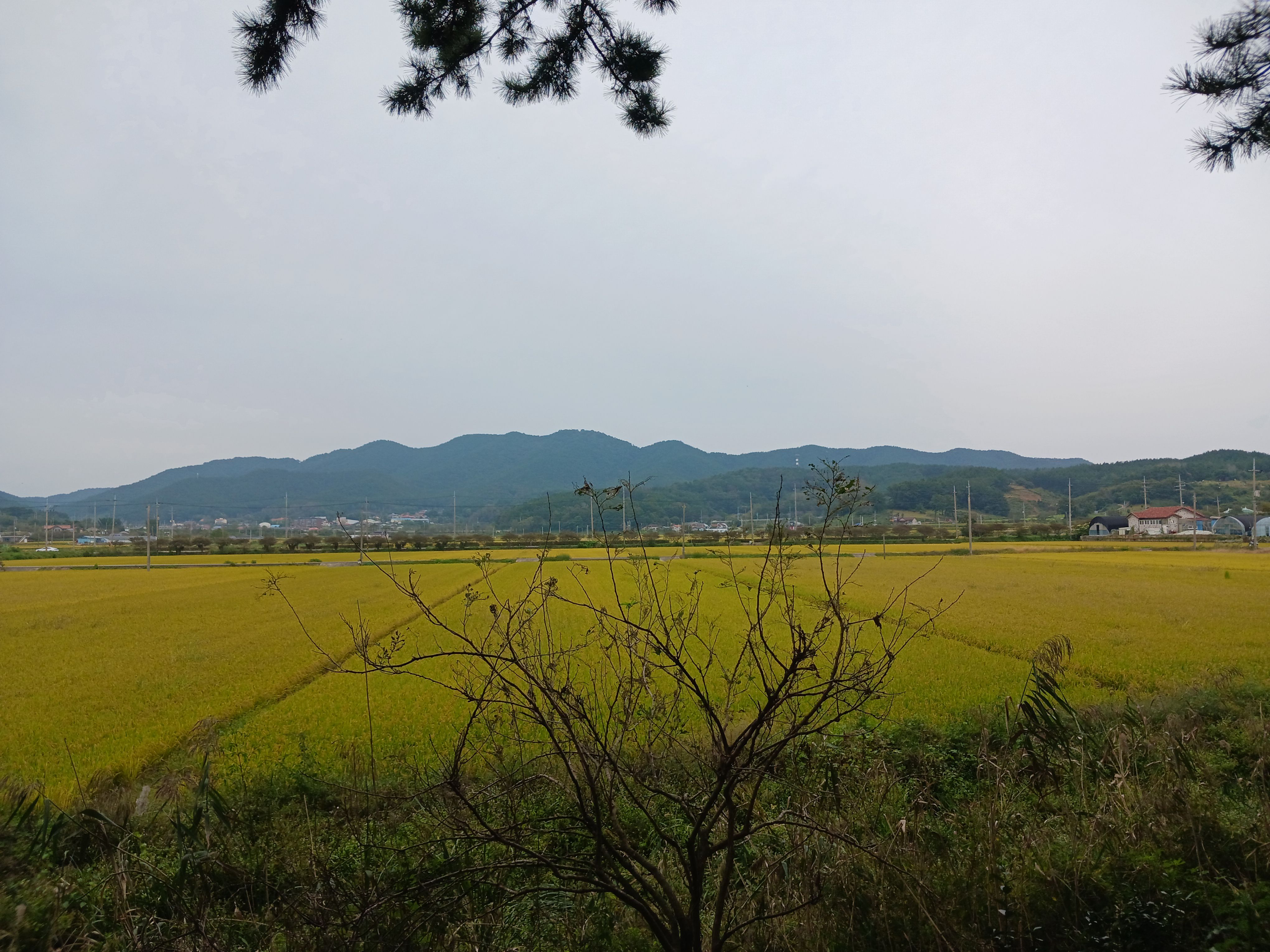 서천갯벌