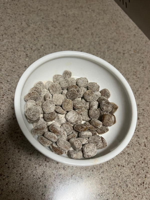 강아지_유산균_닥터머콜라