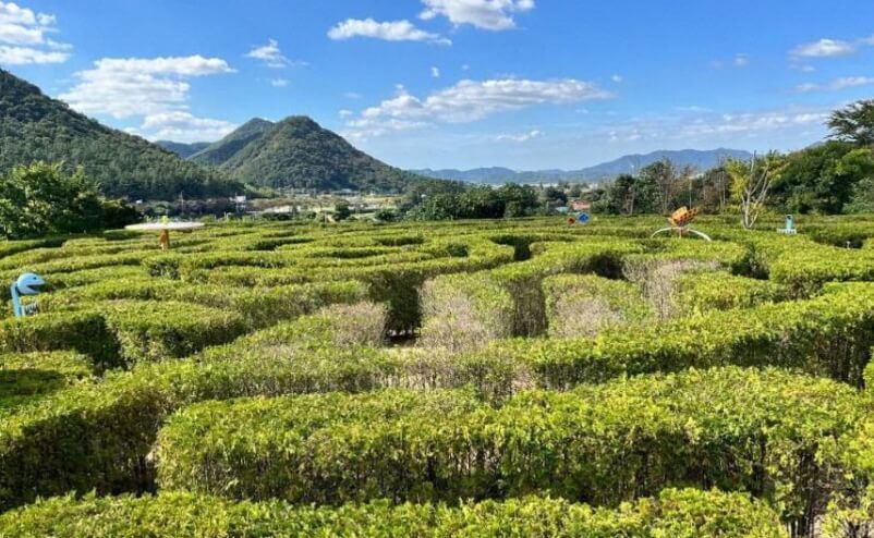 해남 가볼만한곳 BEST 10