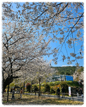 작천정계곡