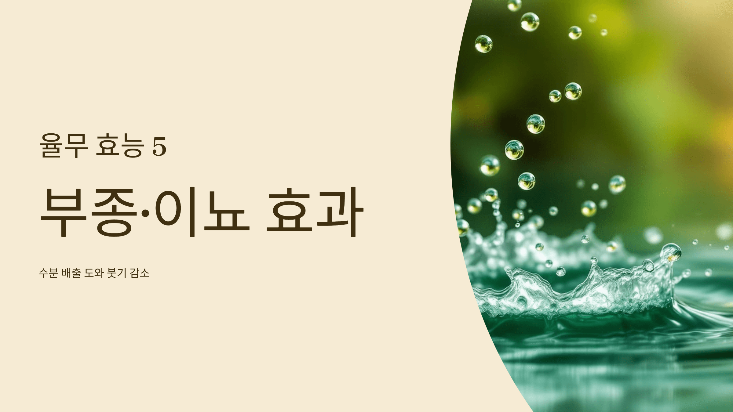 율무 사진입니다.