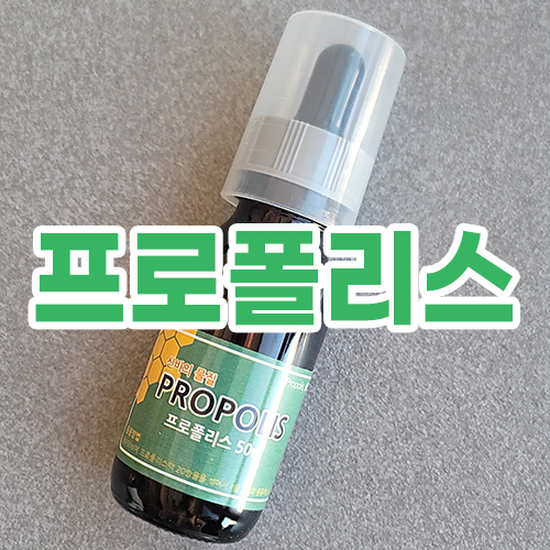 프로폴리스