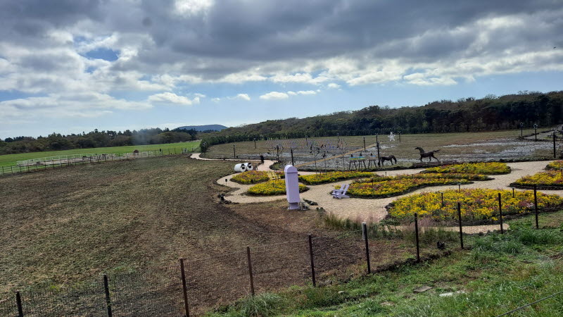 제주여행_에코랜드