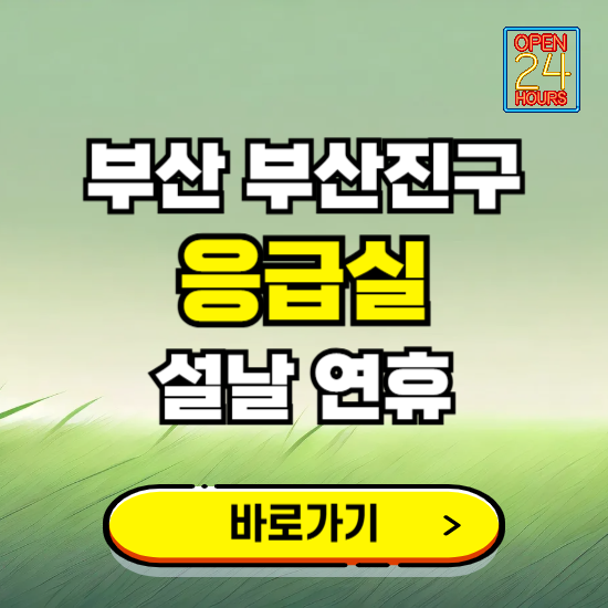 부산 부산진구 설날 연휴 비상진료 응급실 병원 찾기 ❘ 내근처 24시 야간 심야 휴일 가능한 곳