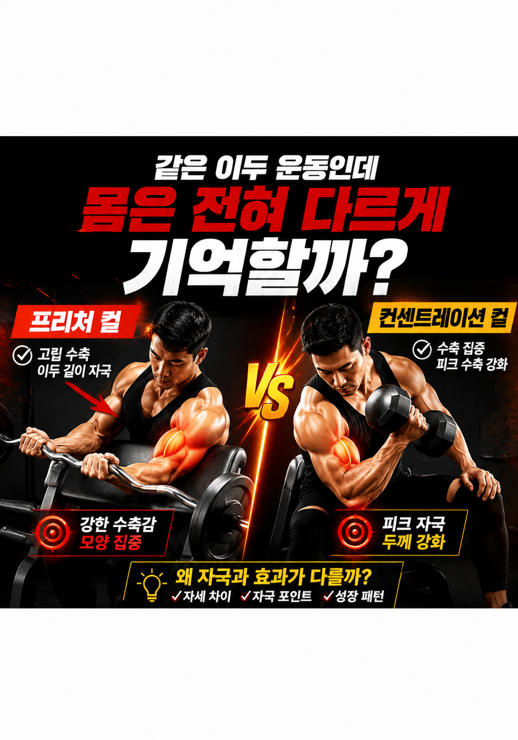 프리처 컬 vs 컨센트레이션 컬:왜 같은 이두 운동인데 몸은 전혀 다르게 기억할까