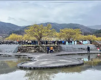 구례 산수유축제_16