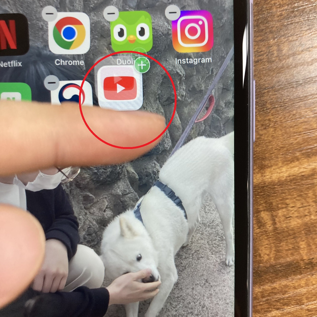 해당 앱을 꾹~ 눌러서 이동하면 아이콘 생성