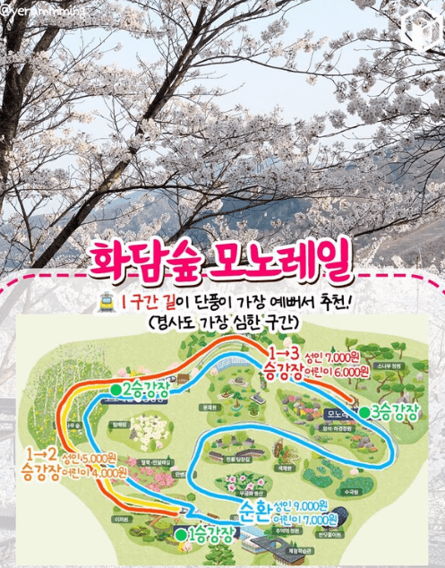 2025 화담숲 벚꽃 예매하기 관련사진