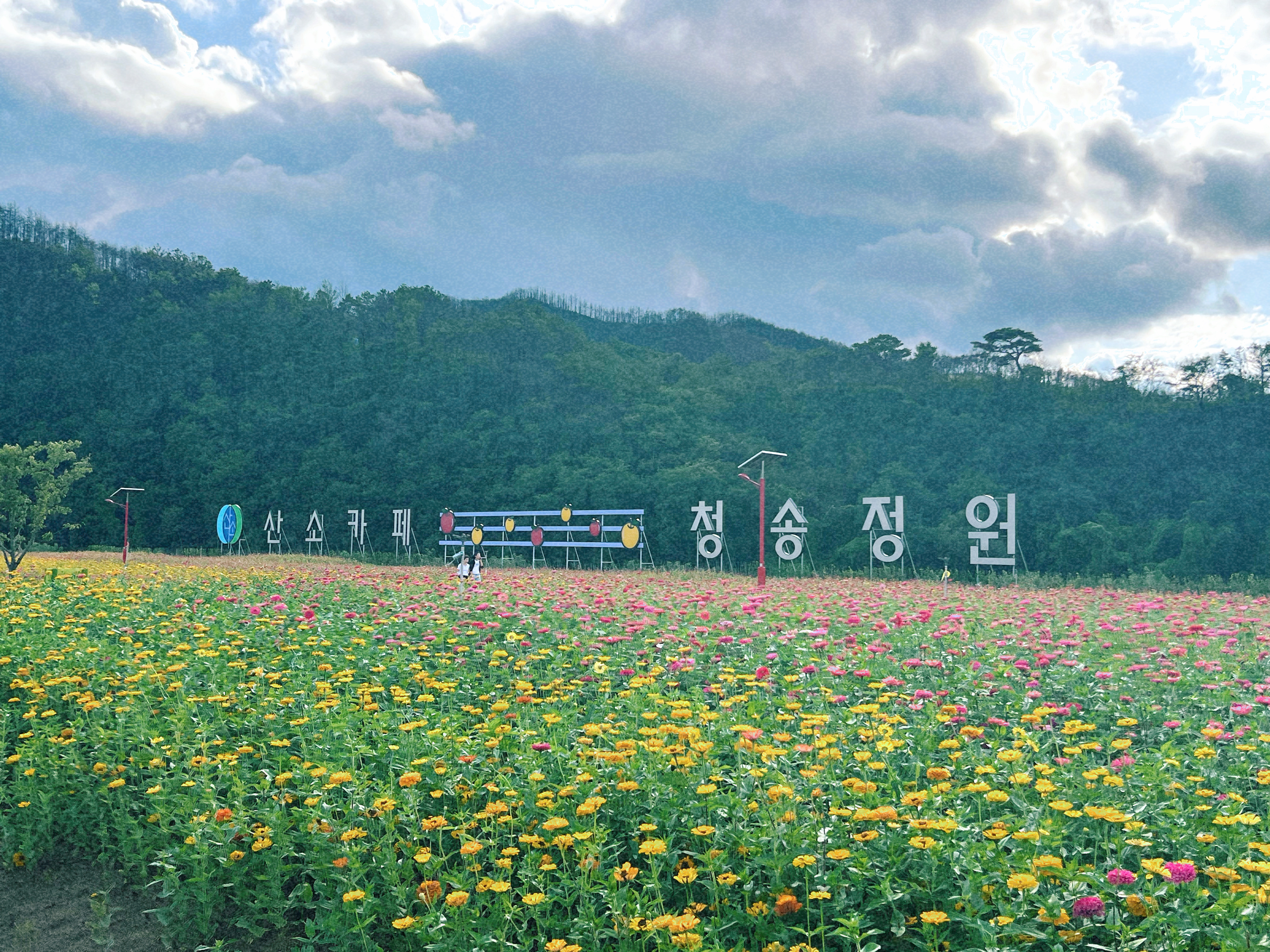 청송정원
