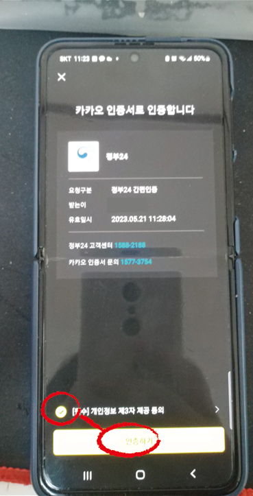 여권11
