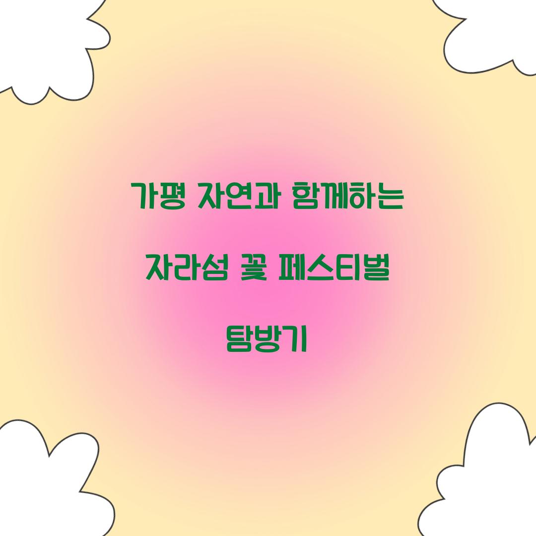 자라섬 꽃 페스티벌