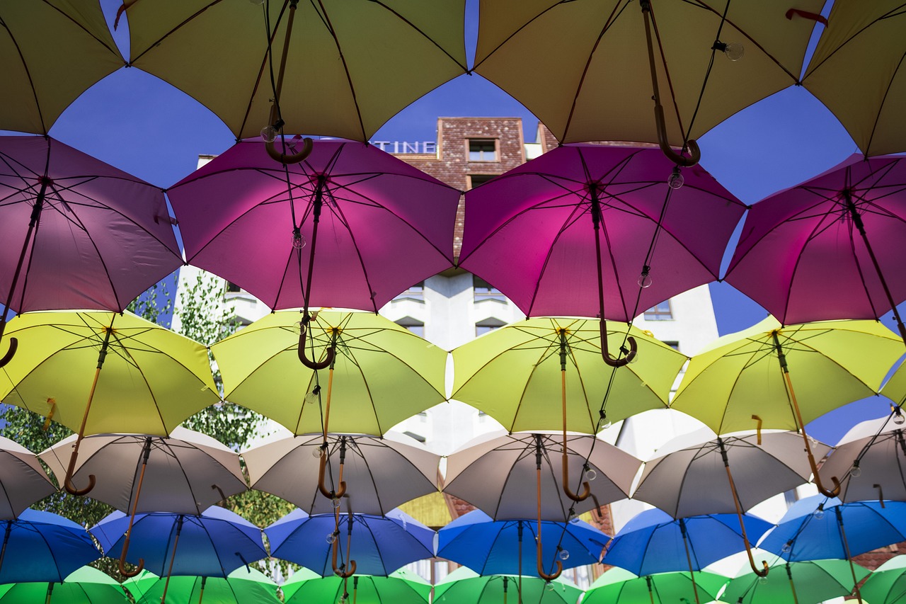 폭염철 해누아 양산 관련 사진