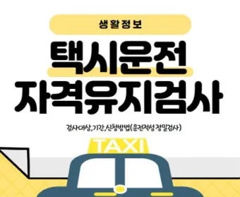 개인택시 자격유지검사 대상 및 신청방법 검사 방법 완벽 총정리로 준비체크_19