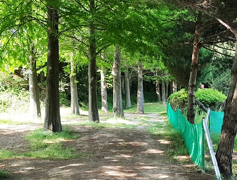 충청남도 아산 도고파크골프장 소개