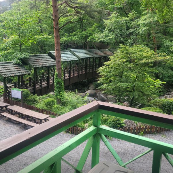 대관령자연휴양림