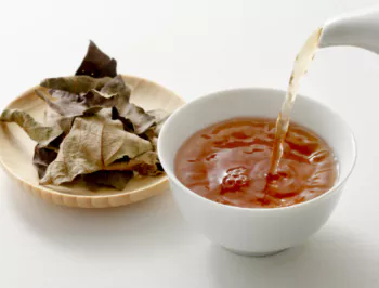 감잎차3