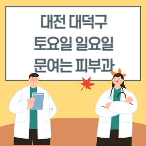 대전 대덕구 토요일 일요일 피부과 진료 병원 리스트
