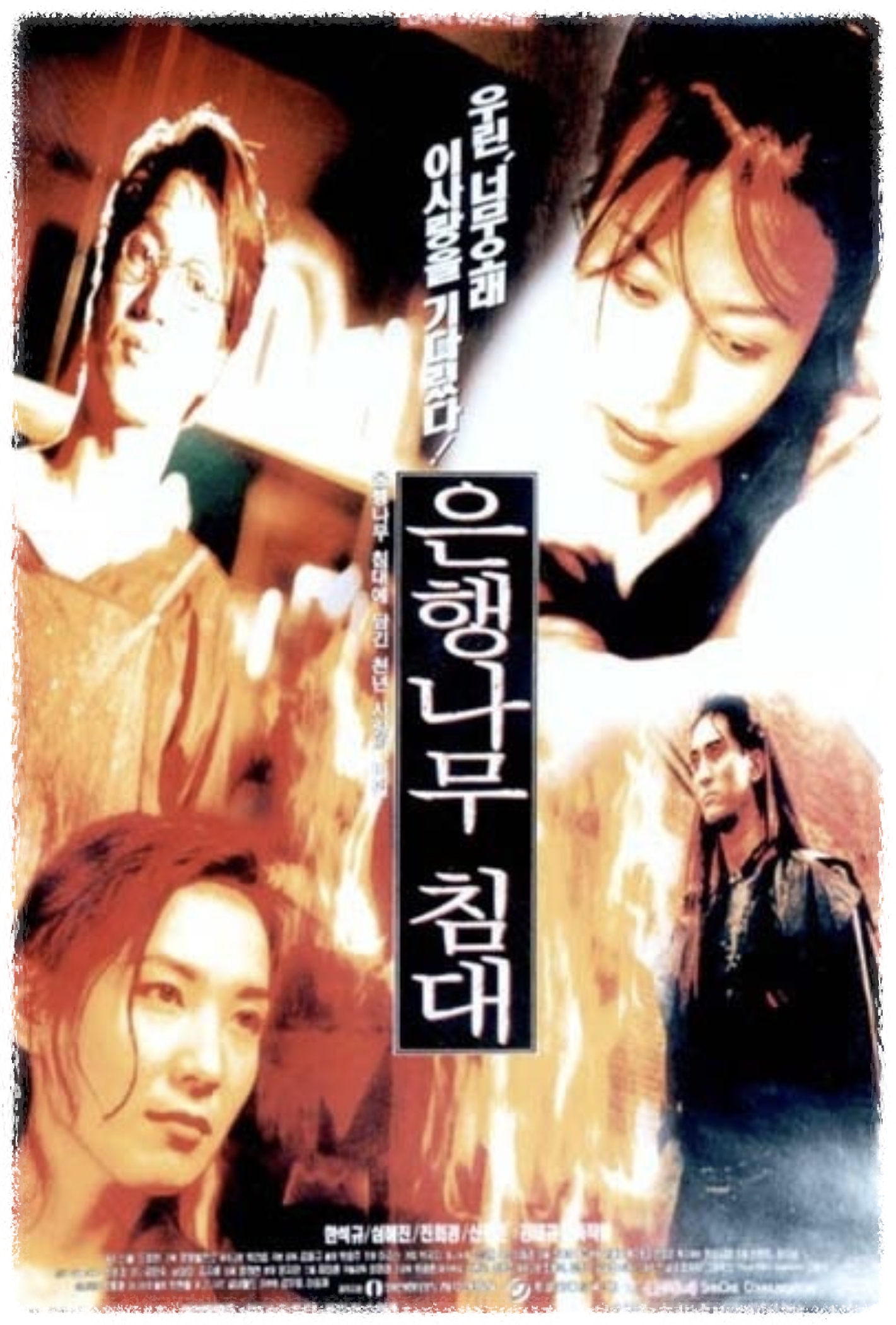 영화 - 은행나무 침대