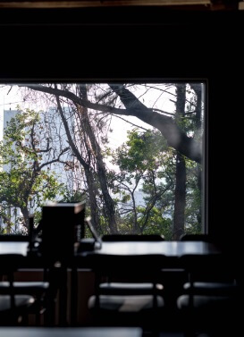 생생정보 고수의 부엌 부산 광안리 낙지볶음과 편백보쌈 맛집 부산 청산 1954 광안리 본점