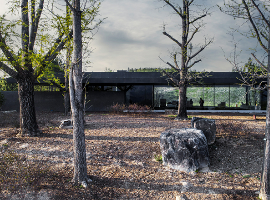 대구 수목원 사유원 입장료 매화축제 관람 예약 안내 