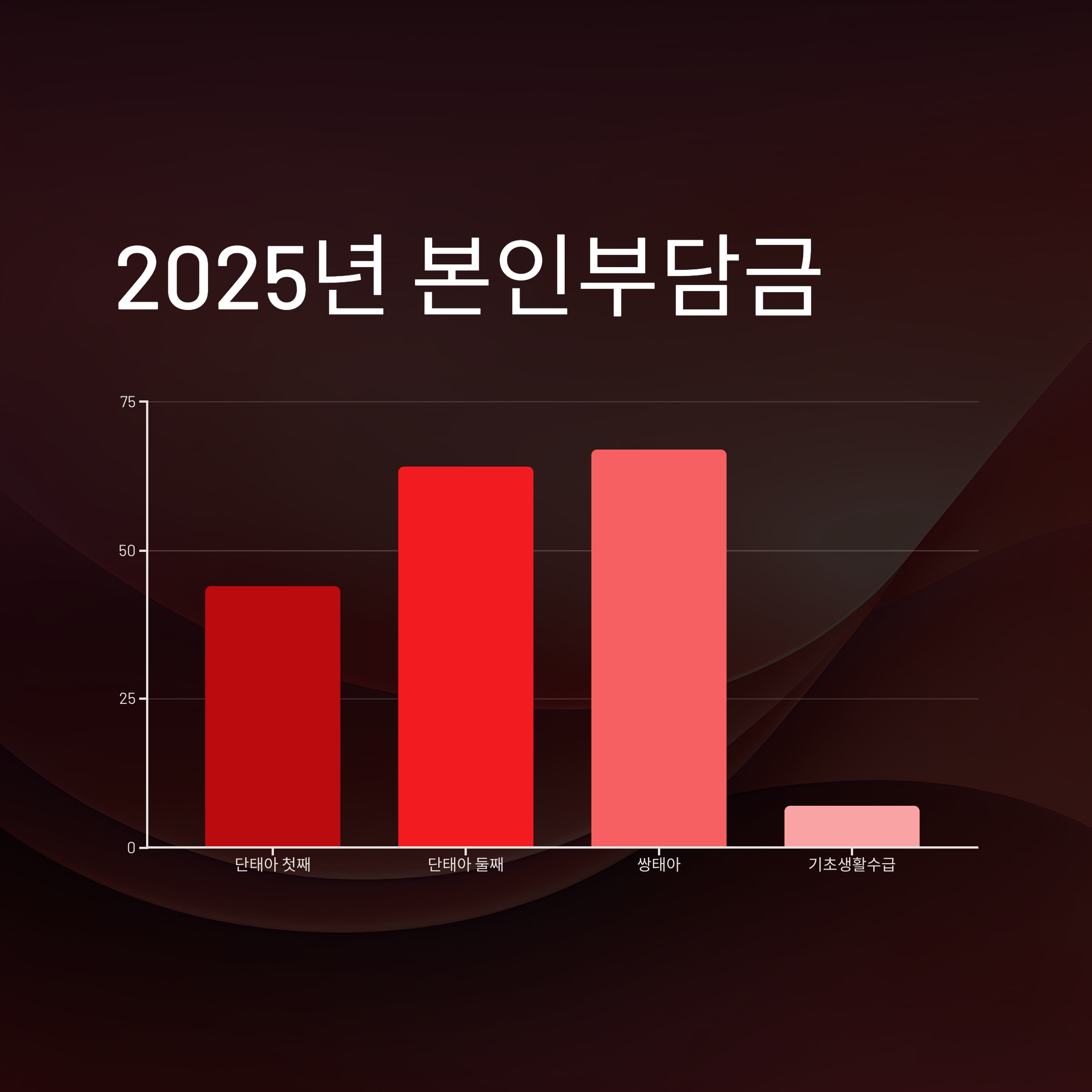 2025년 산후도우미 정부지원금