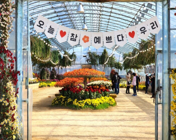 서산 국화축제_30