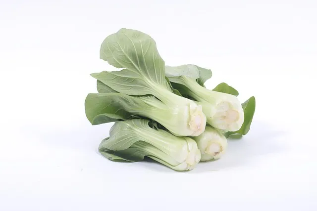 &amp;quot;청경채