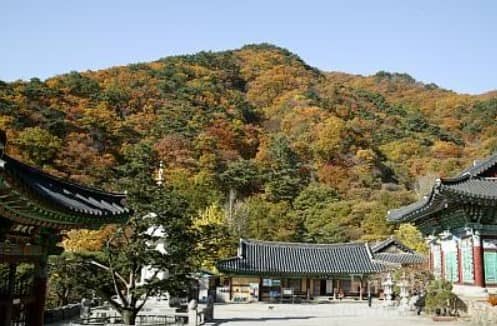 양평-용문사