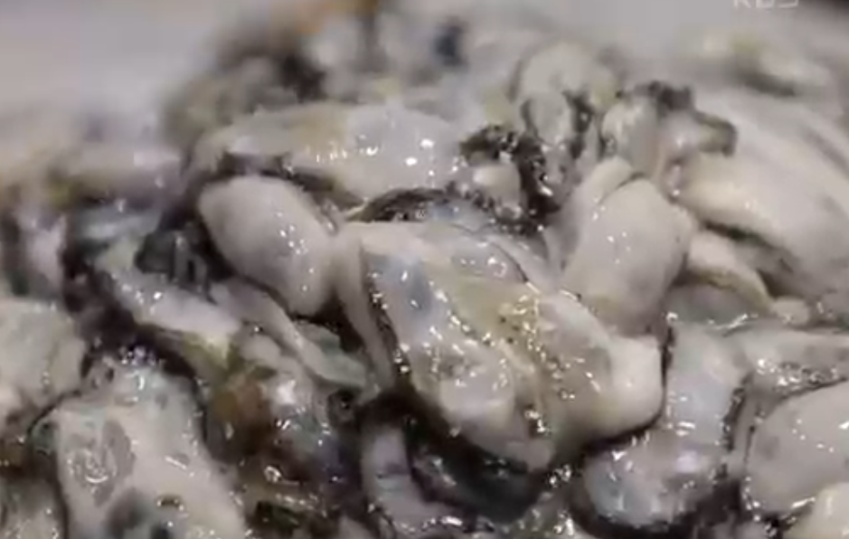 통영 굴