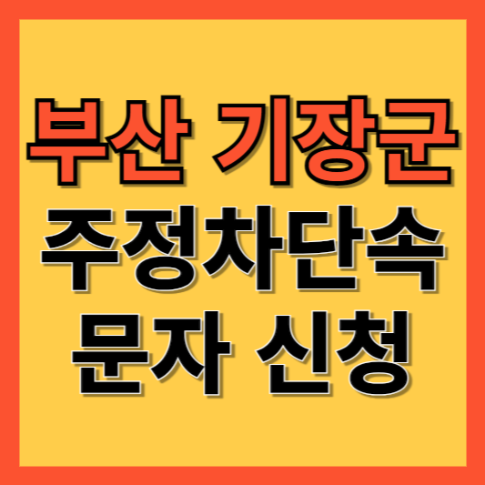 부산 기장군 주정차 단속 알림 서비스 신청 방법 ❘ 주차단속 문자알림서비스
