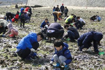 남해 갯벌에서 가족이 함께 바지락 캐기를 즐기는 모습