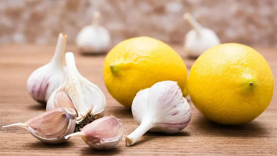 종합소득세 환급금 조회