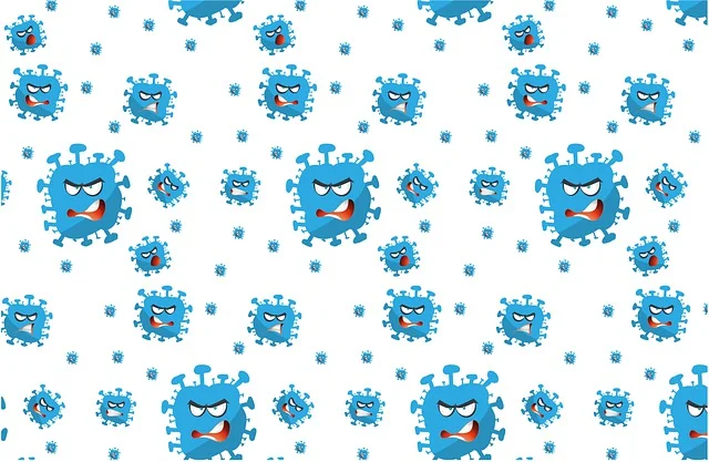 아침 공복 10분, 설탕이 아닌 햇빛을 먼저 마셔라