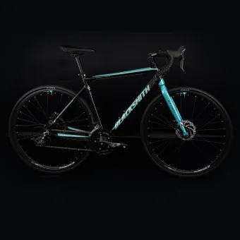 사이클 자전거 브랜드 순위 선수용 자전거 가격_8