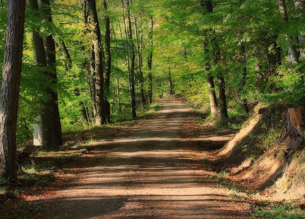 서울근교 산책로