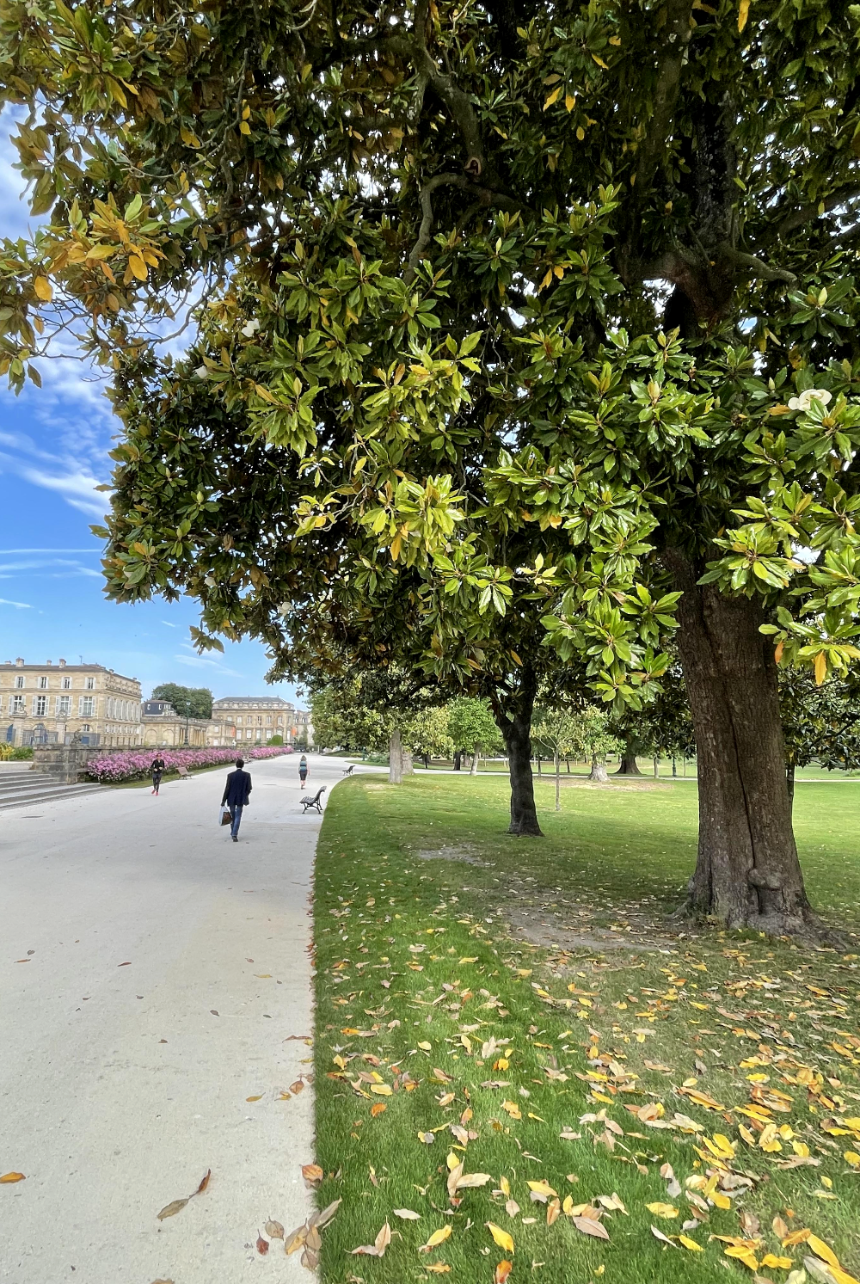 보르도 식물원 넓은 숲길