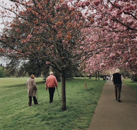 요양보호사 자격증 취득방법 교육과정 시험정보