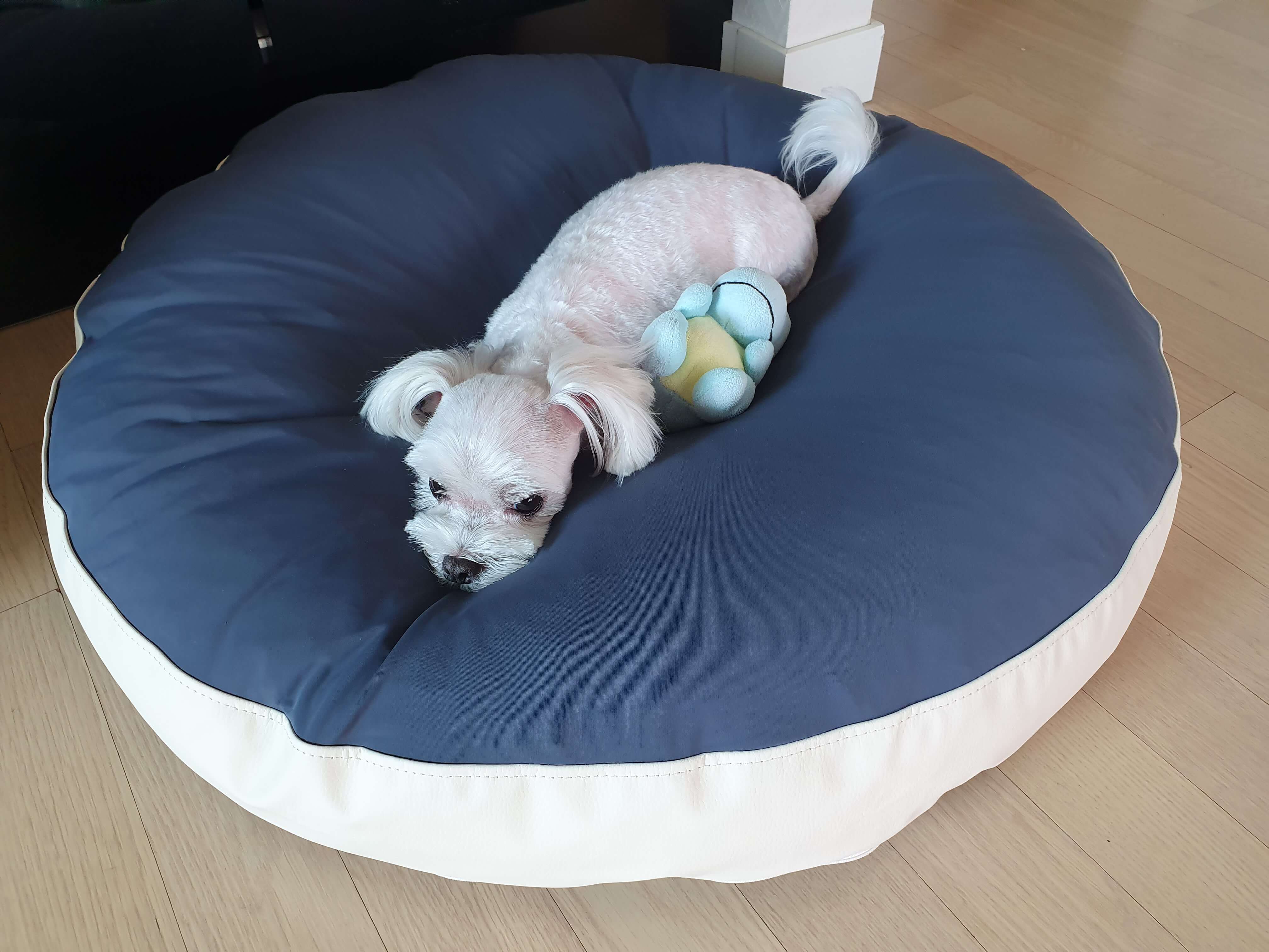 강아지-우주방석-사이즈