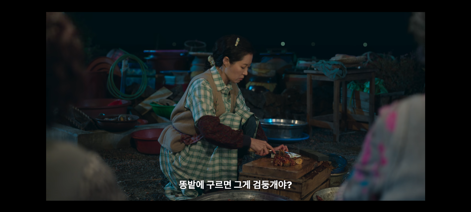 애순 검둥개 똥개