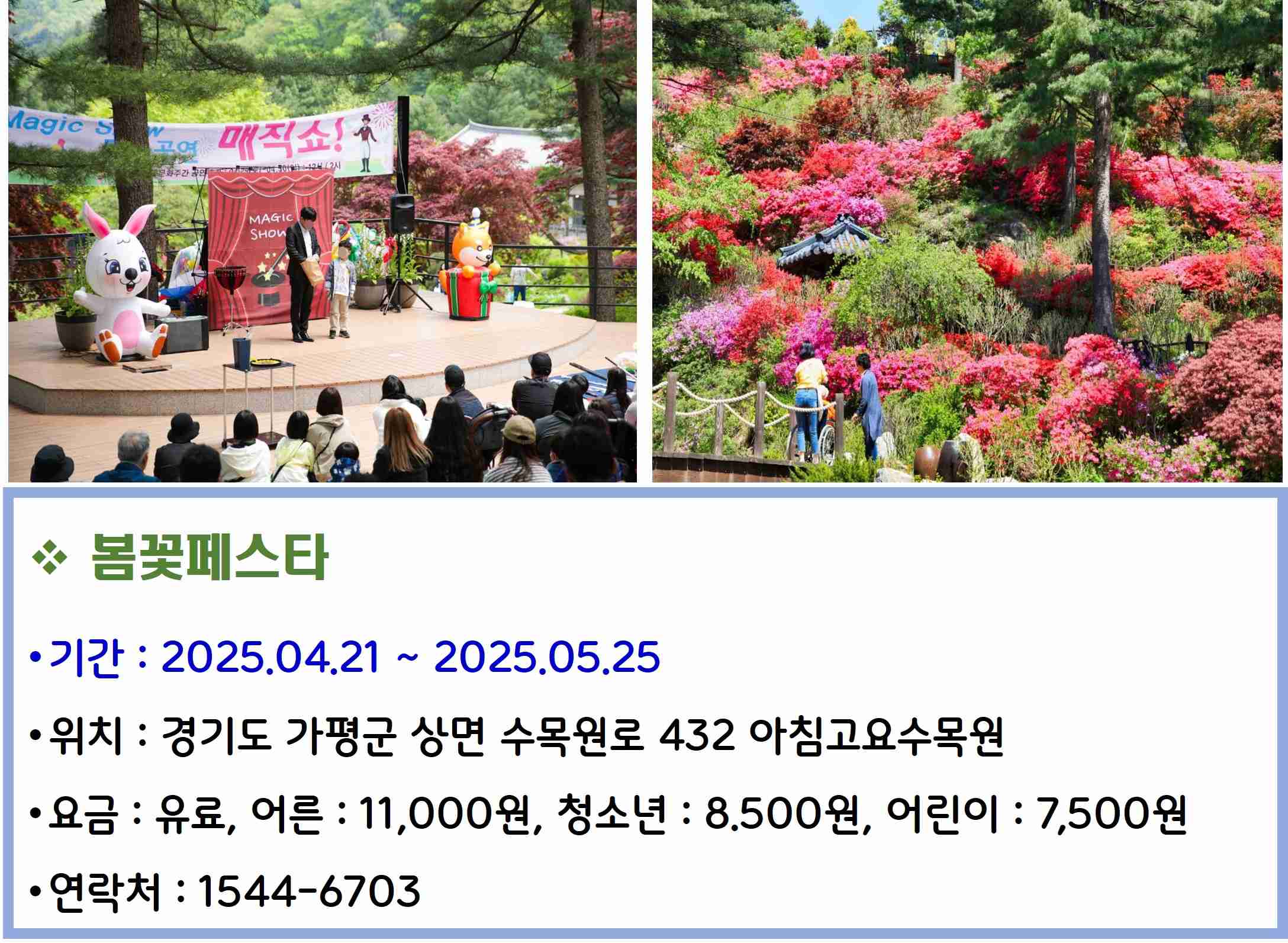 봄꽃페스타